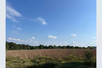 Tbd Park Lane, Chappell Hill, TX 77426 - Photo 3