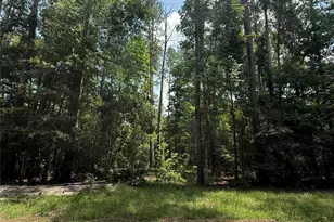 220 Lakeshore Point, Livingston, TX 77351 - Photo 1