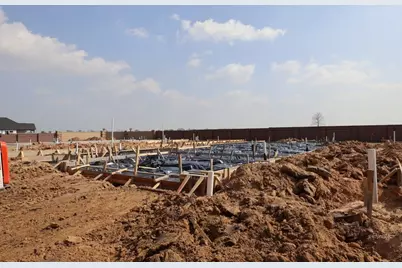 11638 Birdsong Drive, Missouri City, TX 77459 - Photo 5