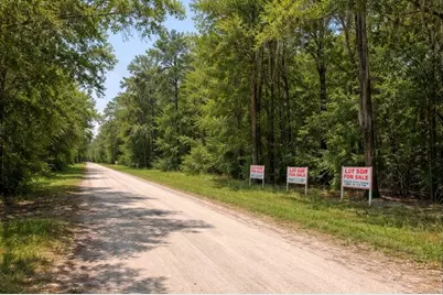 000 Bayou Drive, Alvin, TX 77511 - Photo 1