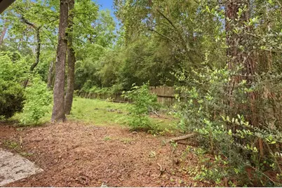 54 Quiet Peace Place, The Woodlands, TX 77381 - Photo 29
