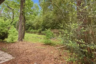 54 Quiet Peace Pl, The Woodlands, TX 77381 - Photo 29