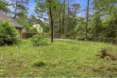 54 Quiet Peace Place, The Woodlands, TX 77381 - Photo 31