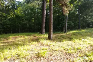 746 County Rd 1015, Woodville, TX 75979 - Photo 9