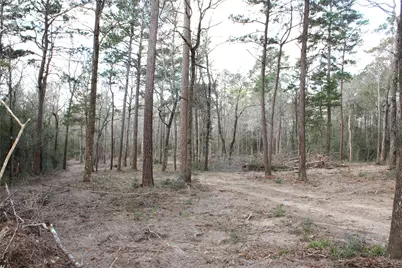 Tbd Highway 150, Coldspring, TX 77331 - Photo 5