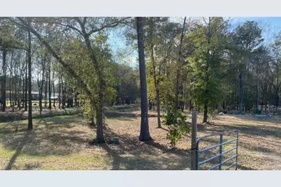 23859 Mydas Fly Lane, New Caney, TX 77357 - Photo 1