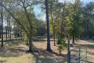 23859 Mydas Fly Ln, New Caney, TX 77357 - Photo 1