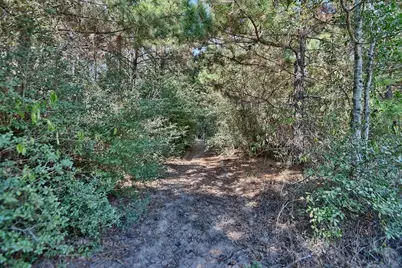 28850 Riley Road, Waller, TX 77484 - Photo 23