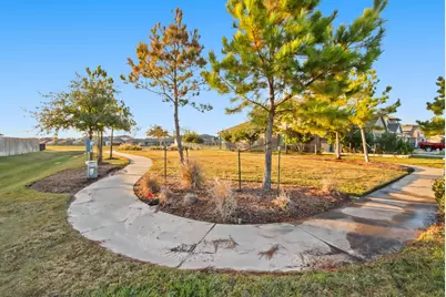 16816 Country Roots Avenue, Conroe, TX 77302 - Photo 19
