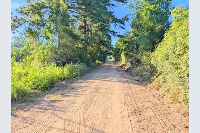 Tbd County Road 3385, Lovelady, TX 75851 - Photo 3