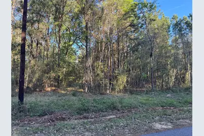 000 Rose Hill Road, Coldspring, TX 77331 - Photo 5
