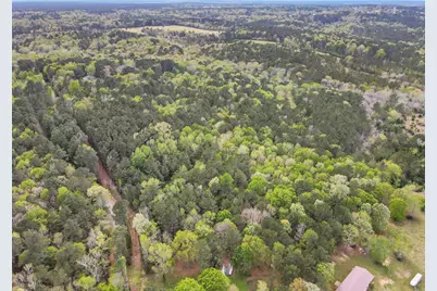 000 Rose Hill Road, Coldspring, TX 77331 - Photo 7