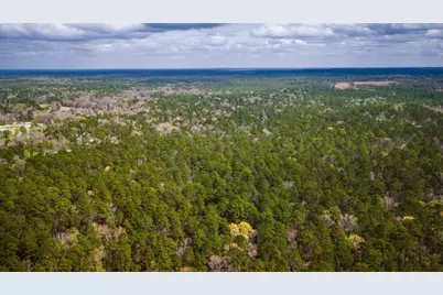 Tbd Tract 3 Triple Creek Loop, Livingston, TX 77351 - Photo 13