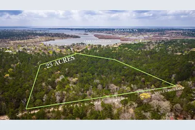 Tbd Tract 3 Triple Creek Loop, Livingston, TX 77351 - Photo 1