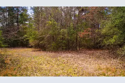 Tbd Tract 3 Triple Creek Loop, Livingston, TX 77351 - Photo 3