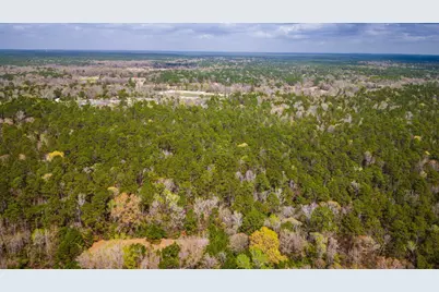 Tbd Tract 3 Triple Creek Loop, Livingston, TX 77351 - Photo 19