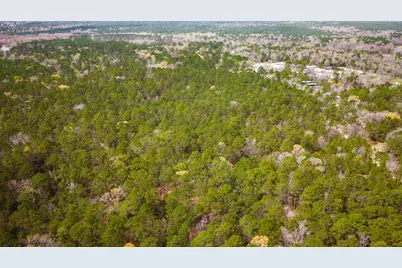 Tbd Tract 3 Triple Creek Loop, Livingston, TX 77351 - Photo 25
