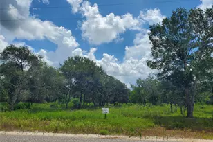 Tbd Specklebelly Ln Lot 252, Columbus, TX 78934 - Photo 1