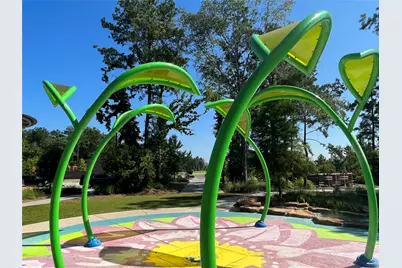 17351 Grand Canyon Road, Conroe, TX 77302 - Photo 47