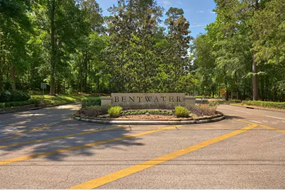 101 Bermuda Circle, Montgomery, TX 77356 - Photo 45