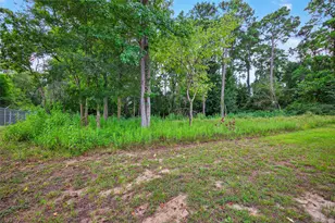 29902 E Hawthorne Dr, Spring, TX 77386 - Photo 39