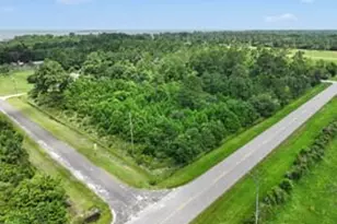 1166 Channelview Rd, Anahuac, TX 77514 - Photo 1