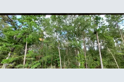 17455 Vino Vines Lane, Conroe, TX 77302 - Photo 27