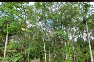 17455 Vino Vines Ln, Conroe, TX 77302 - Photo 27