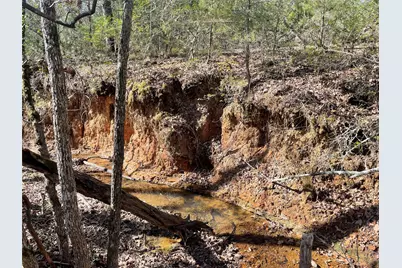 Tbd Fm 1119, Centerville, TX 75833 - Photo 9