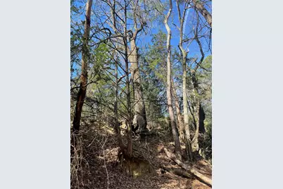 Tbd Fm 1119, Centerville, TX 75833 - Photo 5