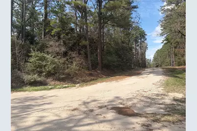 Tbd Little Ponderosa Drive, Onalaska, TX 77360 - Photo 3