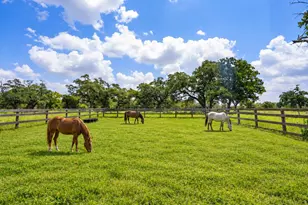2751 FM 2434, Columbus, TX 78962 - Photo 1
