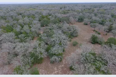 Tbd Private Road 1019, Hallettsville, TX 77964 - Photo 5