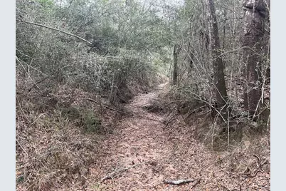 Tbd Private Road 1019, Hallettsville, TX 77964 - Photo 13