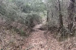 Tbd Private Road 1019, Hallettsville, TX 77964 - Photo 13