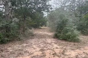 Tbd Private Road 1019, Hallettsville, TX 77964 - Photo 3