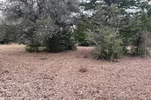 Tbd Private Road 1019, Hallettsville, TX 77964 - Photo 11