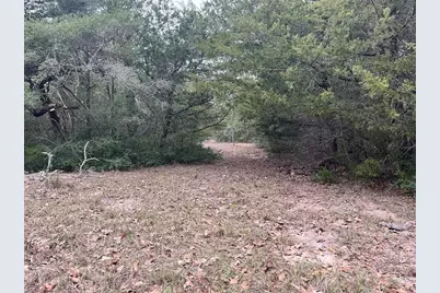Tbd Private Road 1019, Hallettsville, TX 77964 - Photo 23