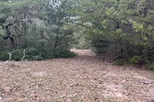 Tbd Private Road 1019, Hallettsville, TX 77964 - Photo 23