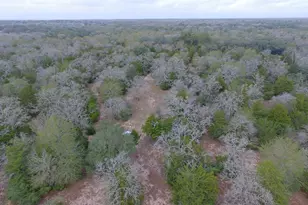 Tbd Private Road 1019, Hallettsville, TX 77964 - Photo 15