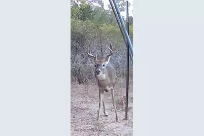 Tbd Private Road 1019, Hallettsville, TX 77964 - Photo 29