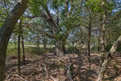 Tbd Roznov Road, Fayetteville, TX 78940 - Photo 5