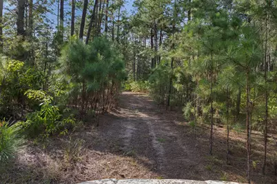 526 Piney Creek Road, La Grange, TX 78945 - Photo 35