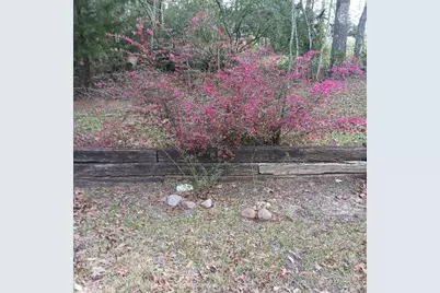 9214 County Road 393, Jewett, TX 75846 - Photo 15