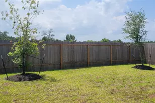 526 Dalloway St, Montgomery, TX 77316 - Photo 7
