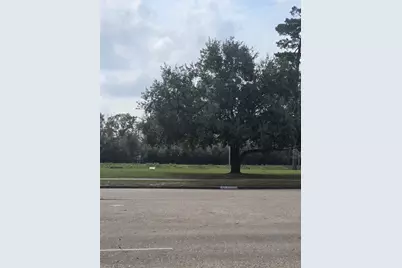 1134 Wynnwood Lane, Houston, TX 77008 - Photo 3