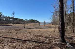 020 Private Road 6028, Brookeland, TX 75931 - Photo 3