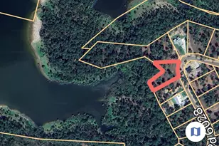 020 Private Road 6028, Brookeland, TX 75931 - Photo 9