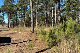 020 Private Road 6028, Brookeland, TX 75931 - Photo 11