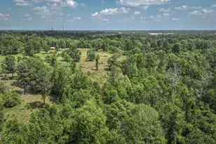 1 Hilo Ln, Conroe, TX 77303 - Photo 3